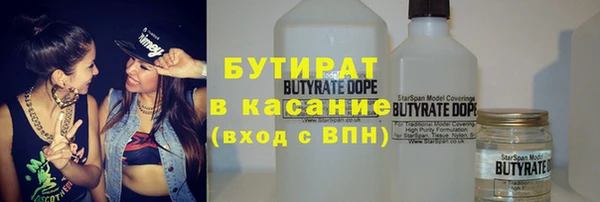 гашик Алексин
