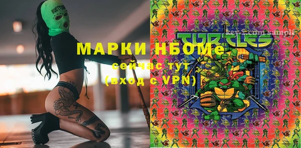 гашик Алексин