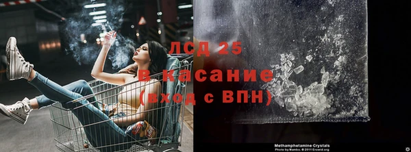 гашик Алексин