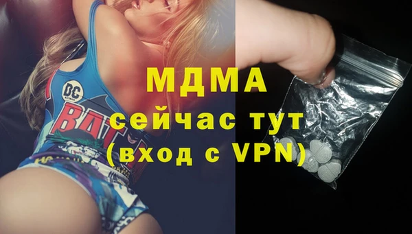 гашик Алексин