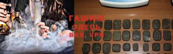 гашик Алексин